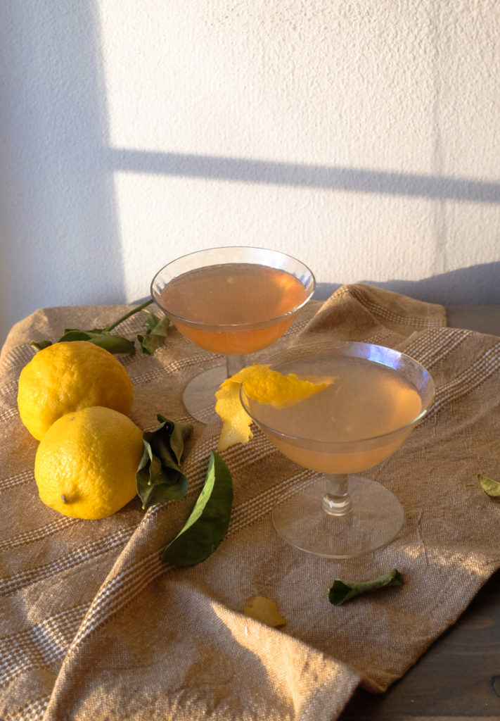 Simple Cocktail Recipes with winter citrus
