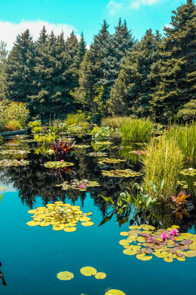 The best guide to Denver Colorado, Denver Botanical Gardens – from California to Italy by Corey Marshall