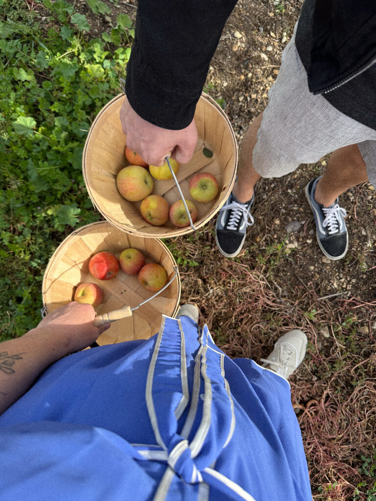 My new favorite seasonal activity and the best apple pie recipe, apple picking – From California to Italy