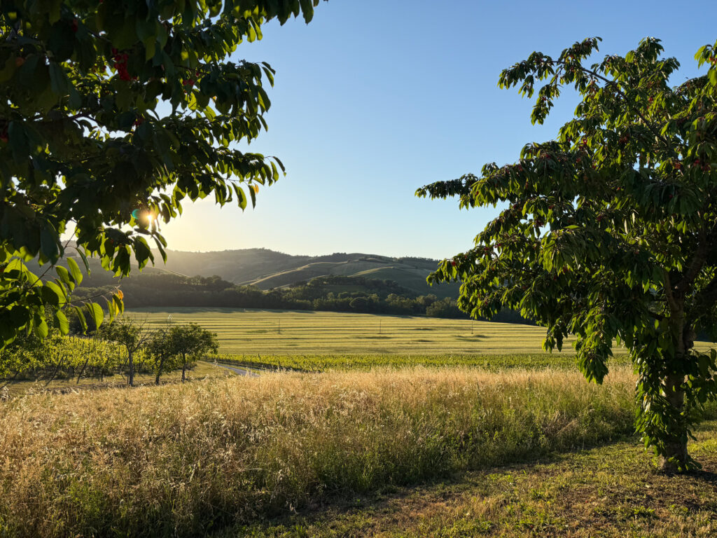 Where you need to stay in Le Marche Italy • Tenuta Santi Giacomo e Filippo, the view