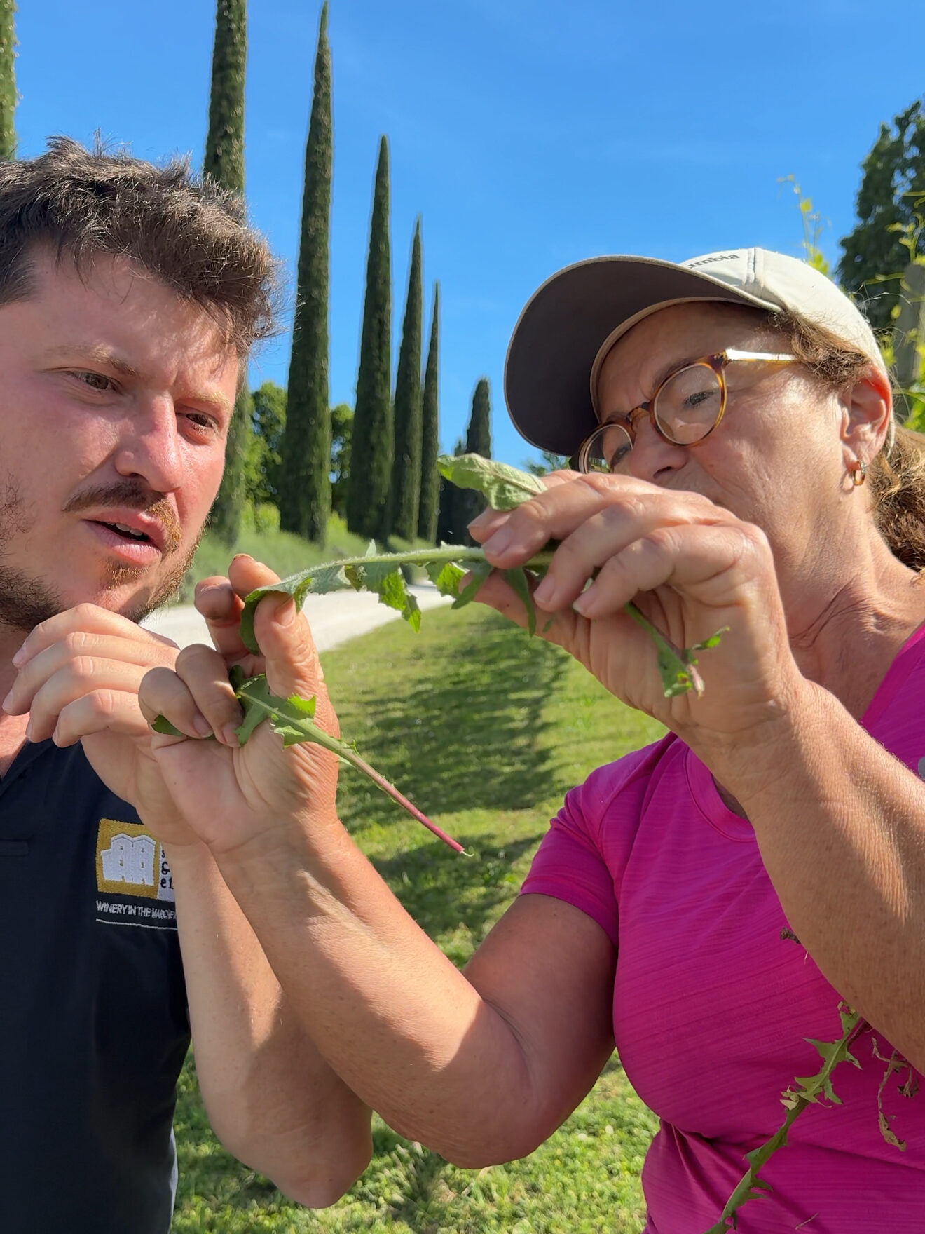 Where you need to stay in Le Marche Italy • Tenuta Santi Giacomo e Filippo, foraging