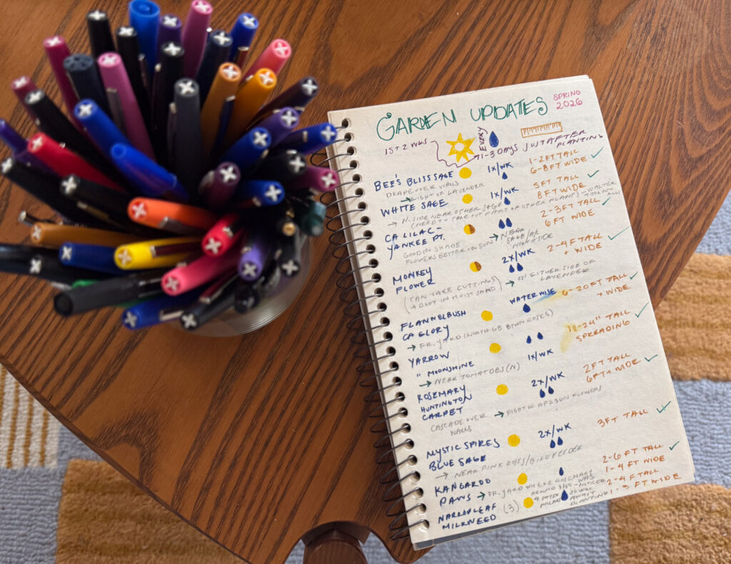 How to start a stunning native pollinator garden + plant list